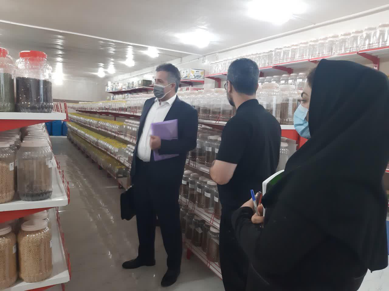 بازدید مدیر مرکز ملی ذخایر ژنتیکی و زیستی ایران از مرکز تحقیقات 
